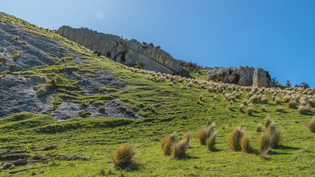 554 Waikari Valley Road, Scargill, Hurunui, Canterbury