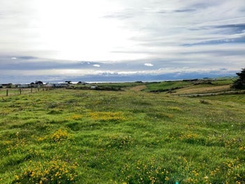 Image 1 of 7