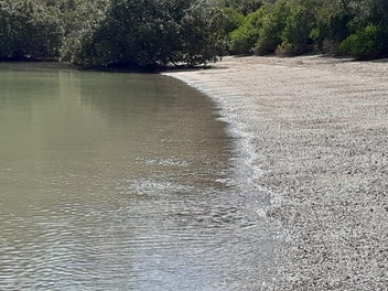 Bay of Islands Riparian Rights. Your Own Beach.