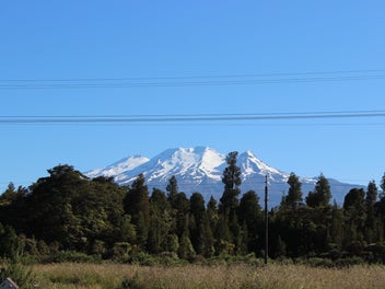 Image 1 of 15