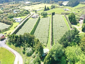 Image 1 of 17
