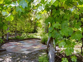 Image 1 of 22