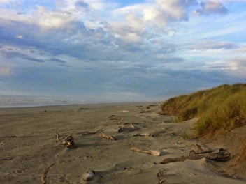 Image 1 of 14