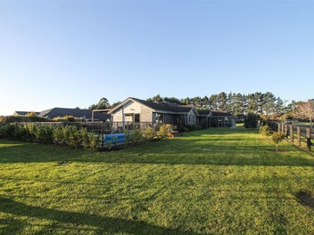 Image 1 of 31