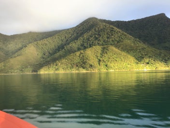 30 Ha Rainforest Lifestyle Block