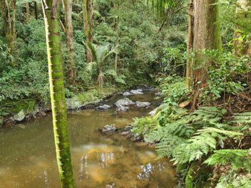 Image 1 of 27