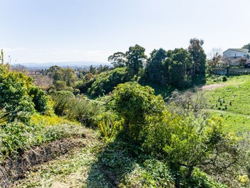 Image 1 of 15