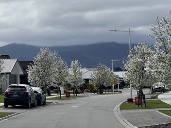 Image 1 of 24