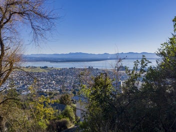 Windows Over Tasman Bay