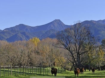 Tranquil Country Heaven with income