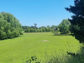 Image 1 of 20