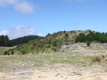Image 1 of 35