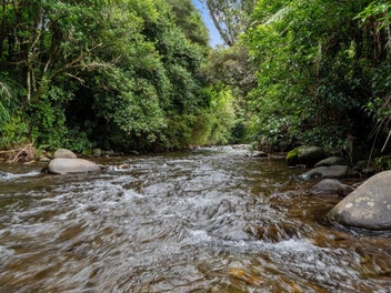 Premium Plantable Land