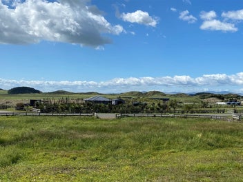 That Special Section!