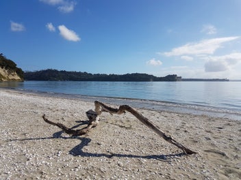Affordable waterfront at Weiti Bay
