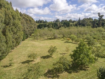 Image 1 of 20