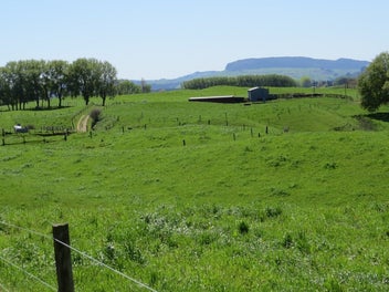 Image 1 of 25