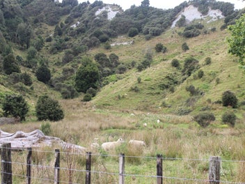 Image 1 of 6