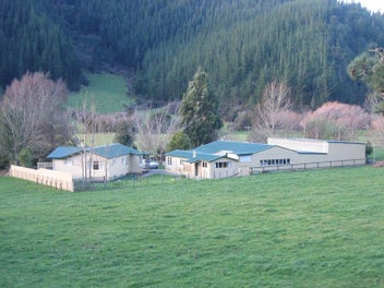 Image 1 of 50