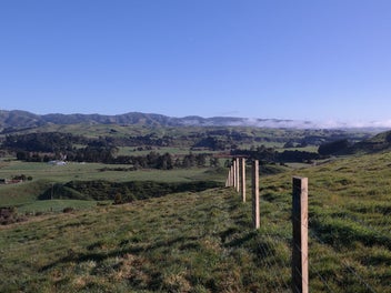 Image 1 of 13