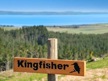 Live the Dream at Kingfisher