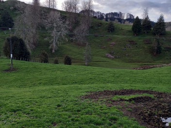 Image 1 of 8