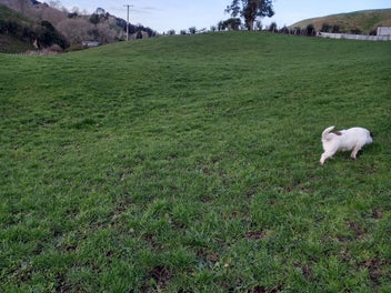 Build your new home here