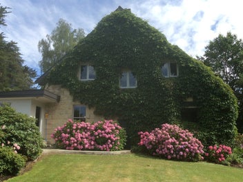 Image 1 of 21