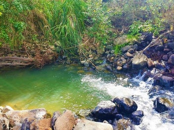 Waimamaku lifestyle with creek