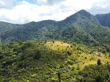 coastal lifestyle with pristine bush