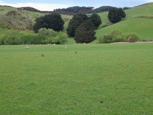Waihola Sections