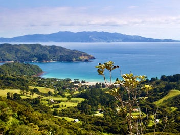 Coastal Views and Pristine Native Bush