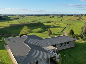 Lifestyle views and kiwifruit