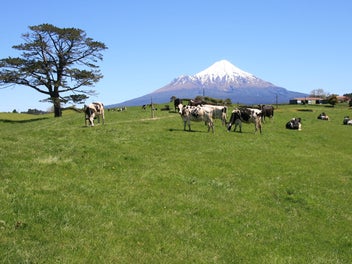 Image 1 of 29