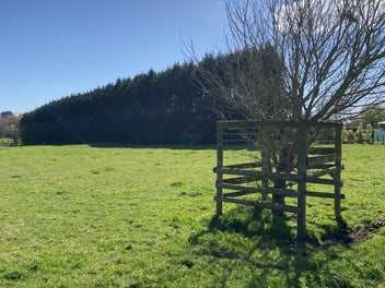 Image 1 of 10