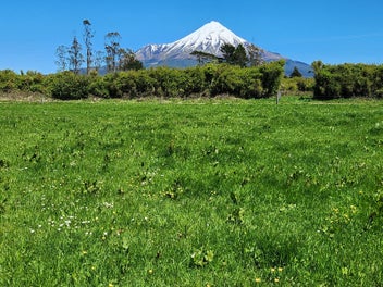 Image 1 of 10