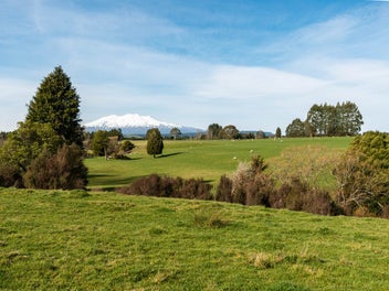 Image 1 of 15