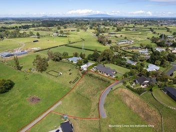 Magic Views on Maungakawa