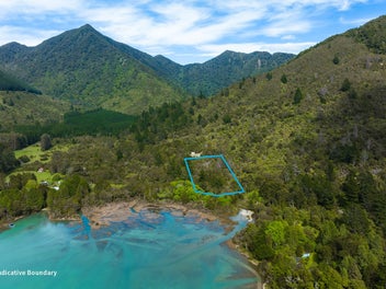 Nydia Bay Opportunity