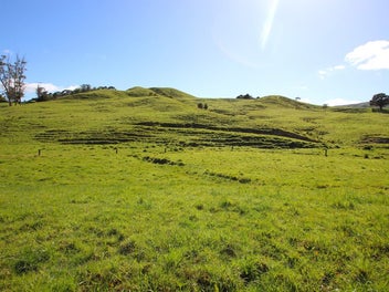 Image 1 of 16