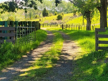 Picturesque Lifestyle