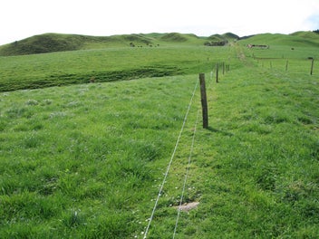 Image 1 of 15