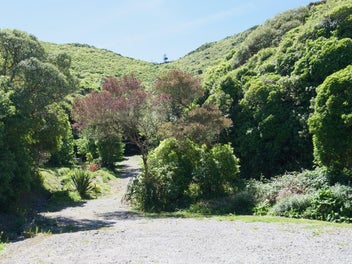 Image 1 of 18