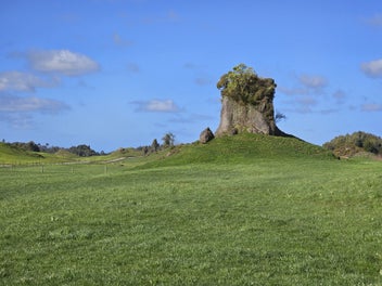 Image 1 of 7