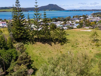 The Jewel in the Pukenui Crown