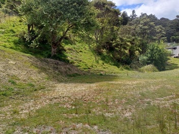 Image 1 of 19