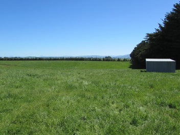 Maitland lifestyle and grazing opportunity