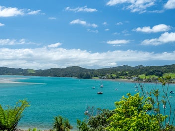 The Reotahi Revitalisation