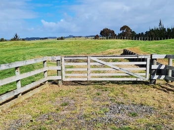 Image 1 of 5