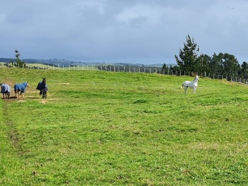 In On The Farm:
